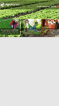 Mobile Screenshot of agromarket-galli.pl
